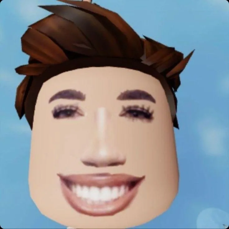 Roblox Pfp Funny