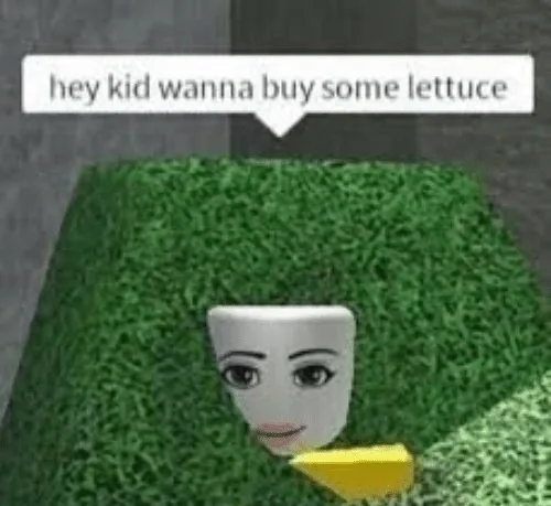 Roblox Pfp Meme