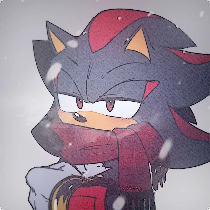 Shadow PFP Anime