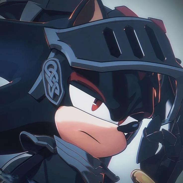 Shadow PFP Anime