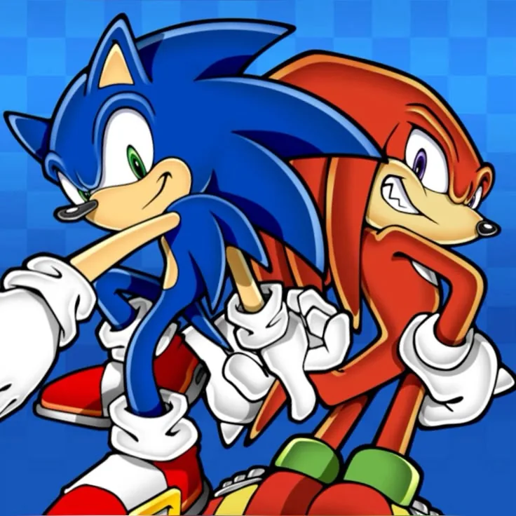 Sonic X Knuckles PFP
