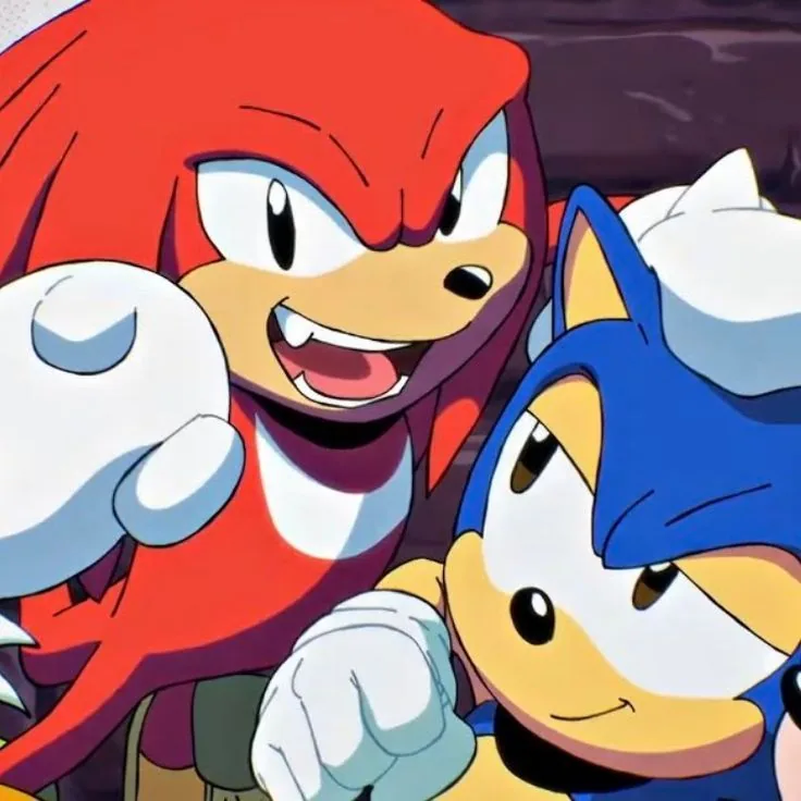 Sonic X Knuckles PFP