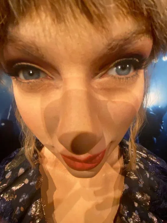 Taylor Swift PFP Funny