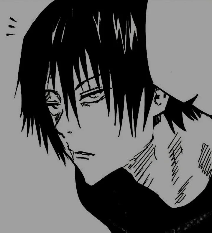 Toji PFP Black and White