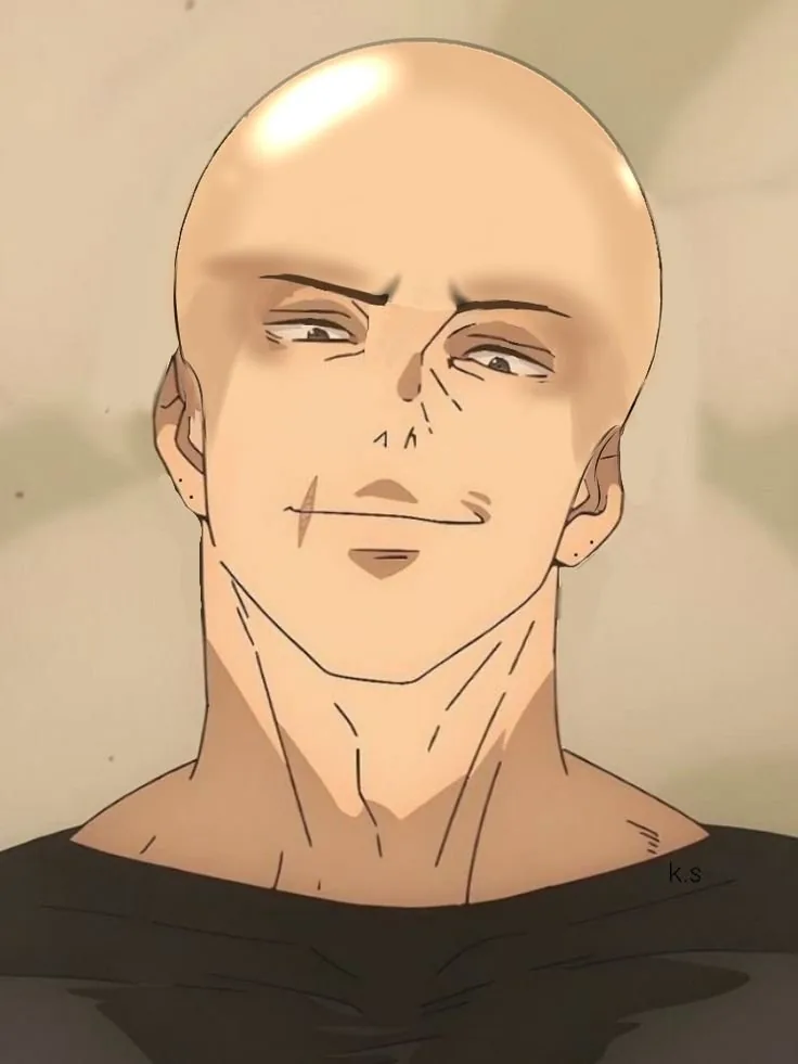 Toji PFP Funny