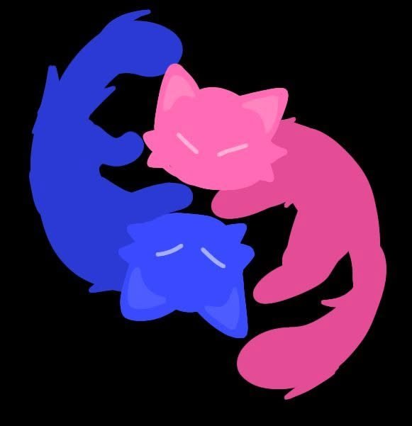 tv girl pfp cat