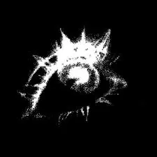 Unknown PFP Black