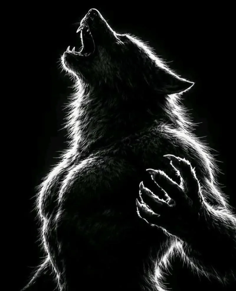 Wolf Pfp