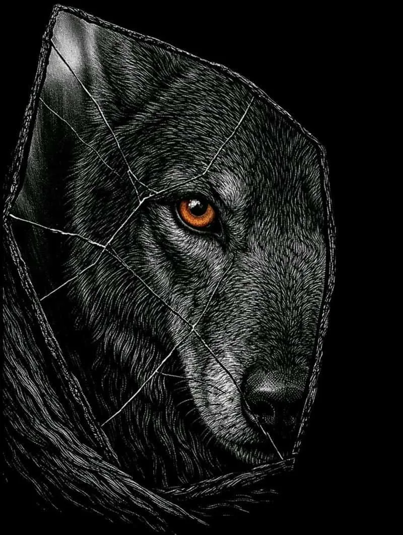 Wolf Pfp