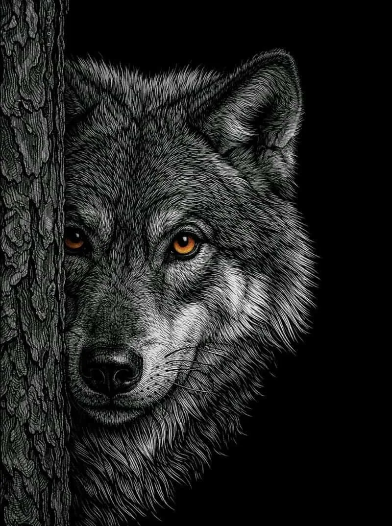 Wolf Pfp