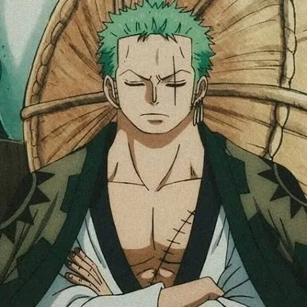 Zoro PFP Aesthetic