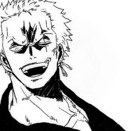 Zoro PFP Black And White