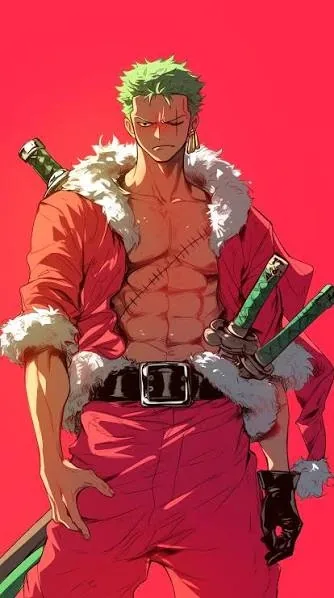 Zoro PFP Christmas