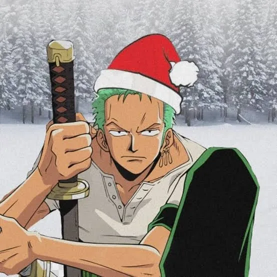 Zoro PFP Christmas