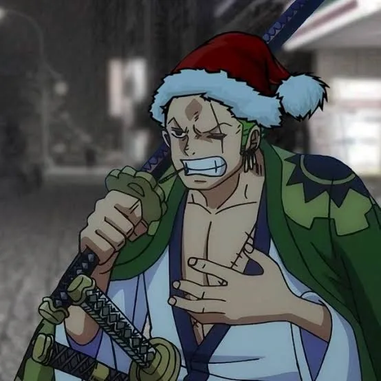 Zoro PFP Christmas