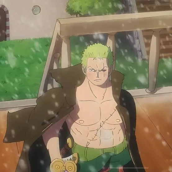 Zoro PFP Egghead
