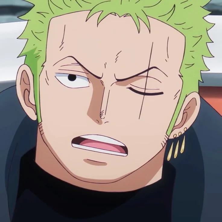 Zoro PFP Egghead