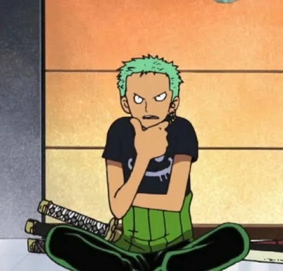 Zoro PFP Funny