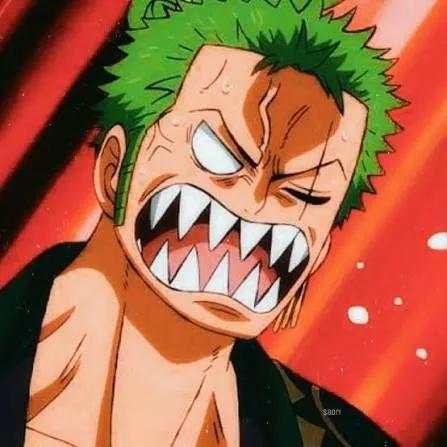 Zoro PFP Funny
