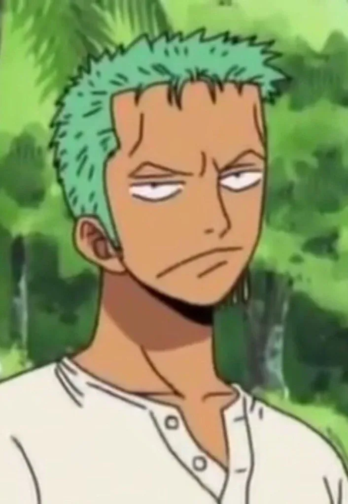 Zoro PFP Funny