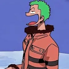 Zoro PFP Funny