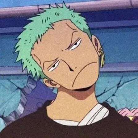 Zoro PFP Funny