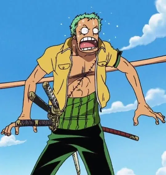Zoro PFP Funny