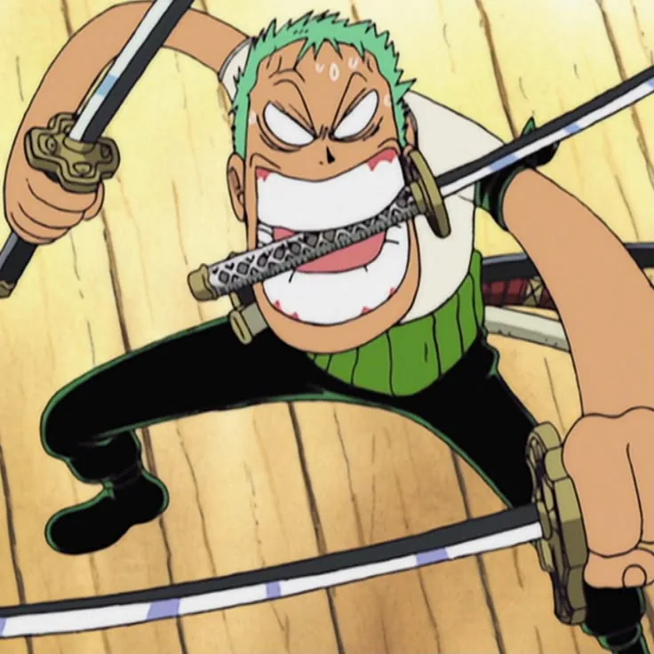 Zoro PFP Funny