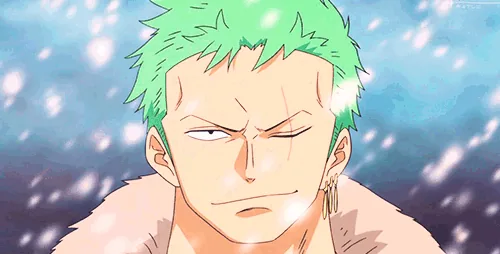 Zoro PFP