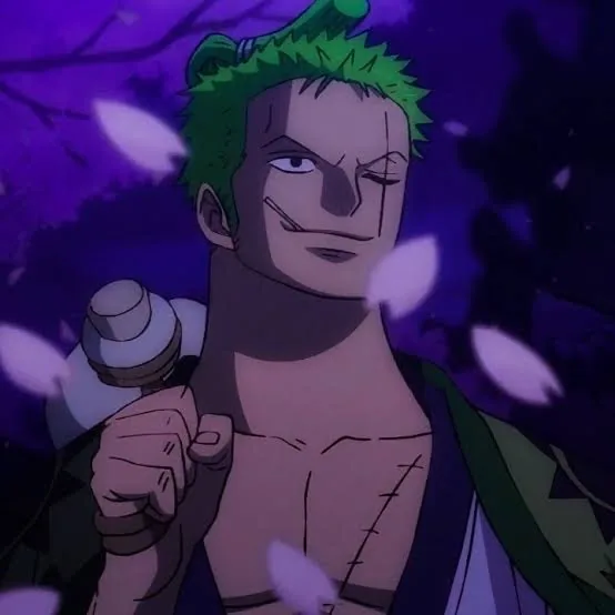 Zoro PFP Wano