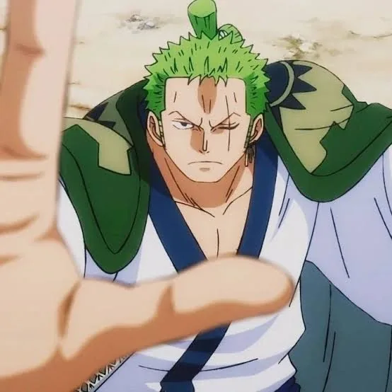 Zoro PFP Wano