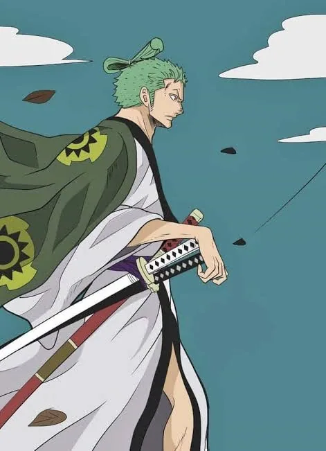 Zoro PFP Wano